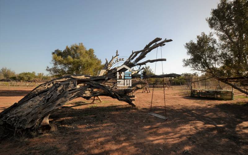 Camping-Caravaning (11)